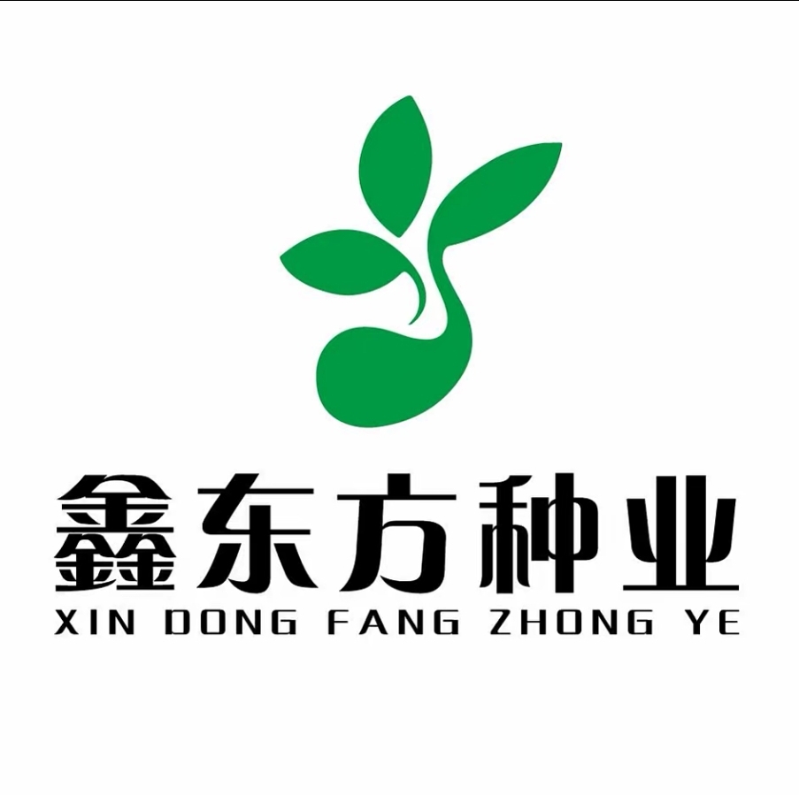 鑫东方种子改价链接