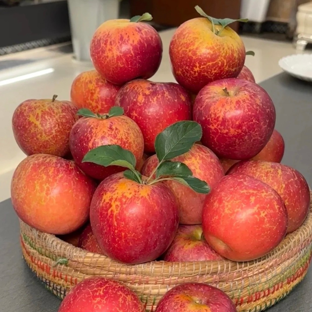 四川大凉山丑苹果（大果）10元两斤四川省