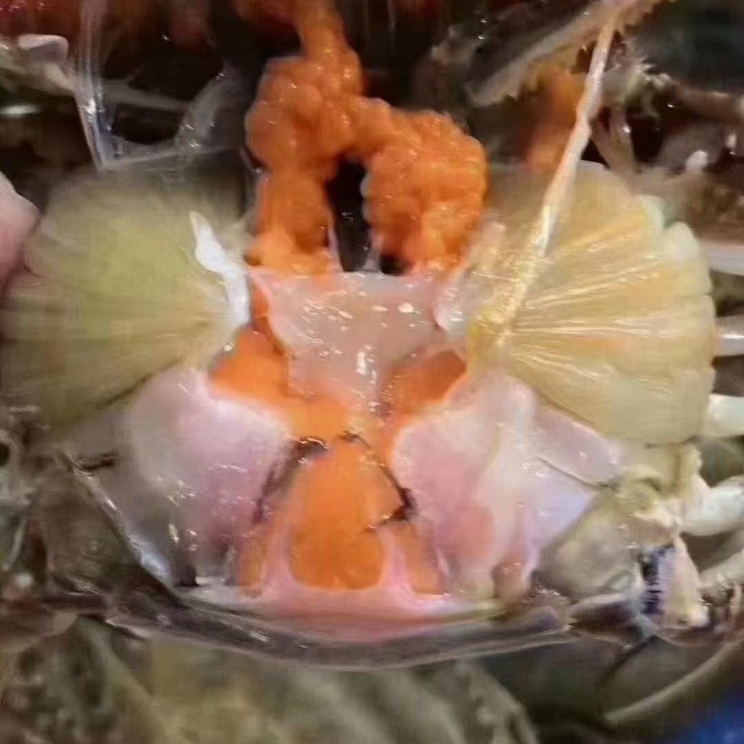［鲜活］海捕梭子蟹2斤/份，全黄母蟹，黄多肉多（加购物车可选规格）