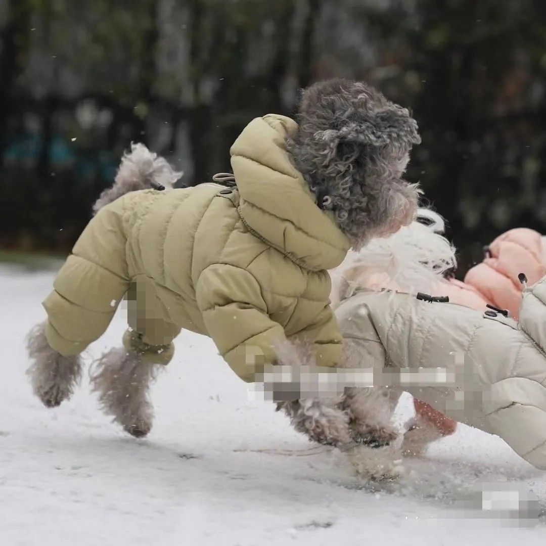 韩版泰迪贵宾小型犬宠物狗狗冬天衣服四脚衣加厚服保暖防寒