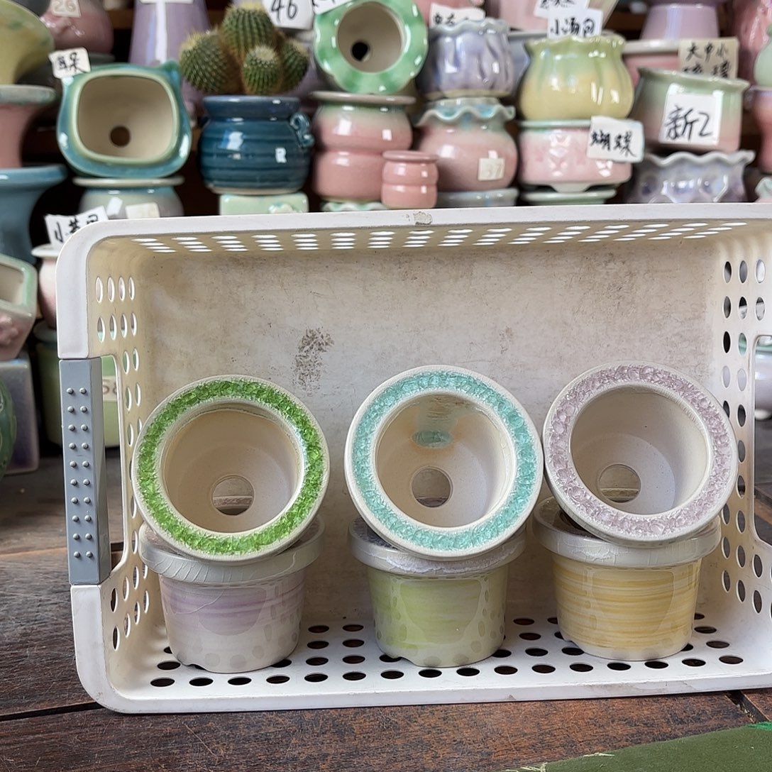 量货/5口高5深浅搭配发6