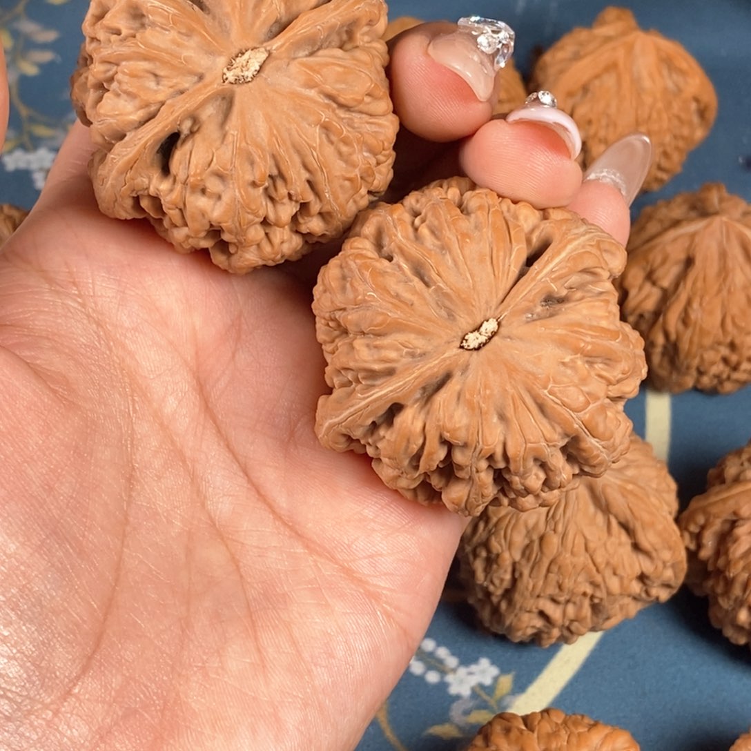 核桃贰*文玩核桃大粗筋