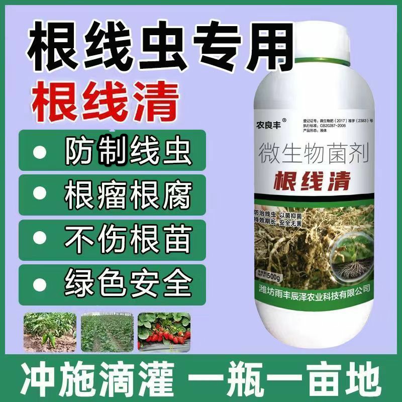 正品根结线虫专用淡孢菌清根结根瘤根线地下微生物菌剂农用