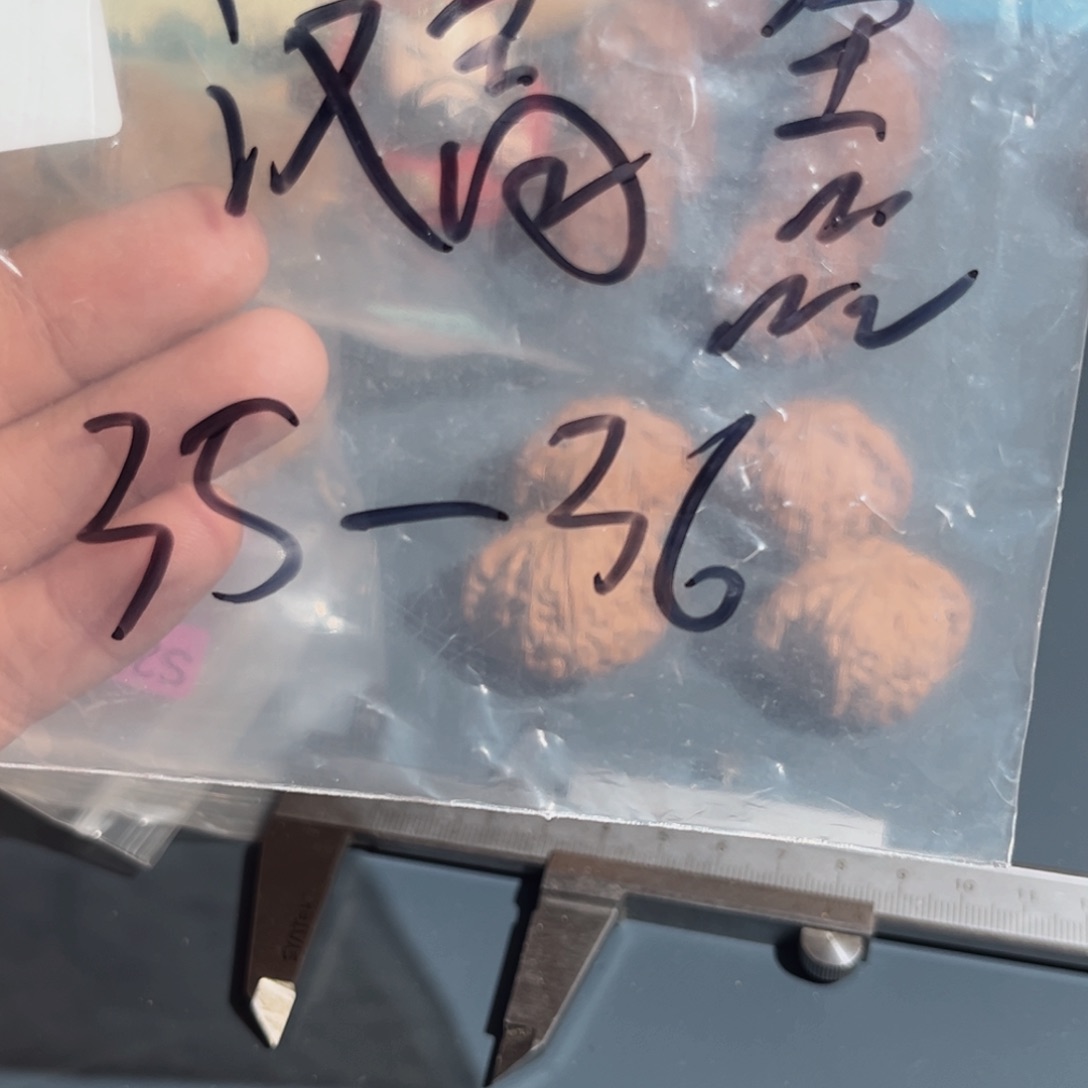 文玩核桃把件汉高楼