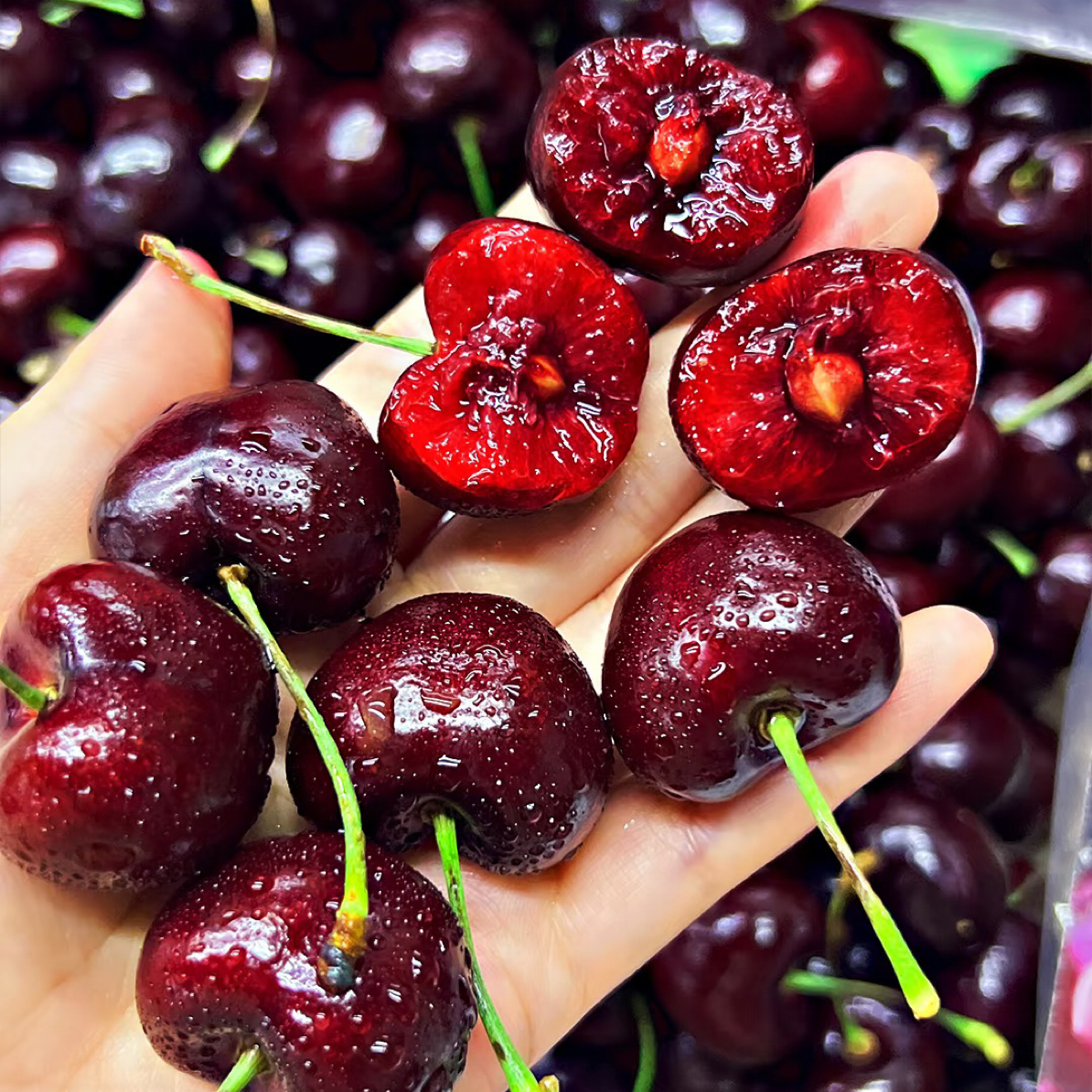 【空运头茬】桑提娜智利进口车厘子1-5斤顺丰骑手同城送1-4J瑞吉纳智利