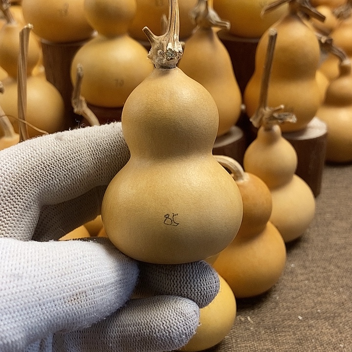 文玩葫芦 完美主义者 慎拍85