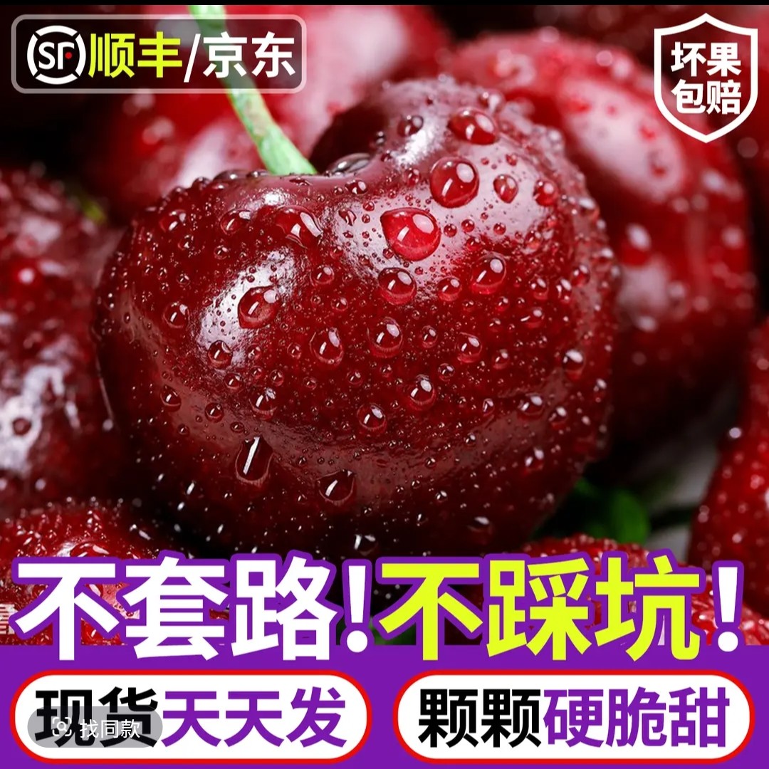 【原盒】净重5斤智利进口桑提娜海运车厘子水果2J-4J内附果径卡X