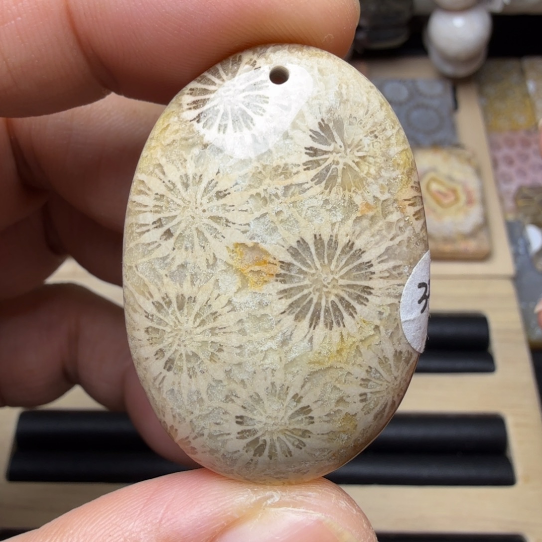 硅化玉未镶嵌纯天然色有机玉石保真色