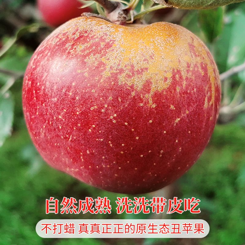 不保花纹不保糖心~正宗大凉山丑苹果~因个人口感不售后