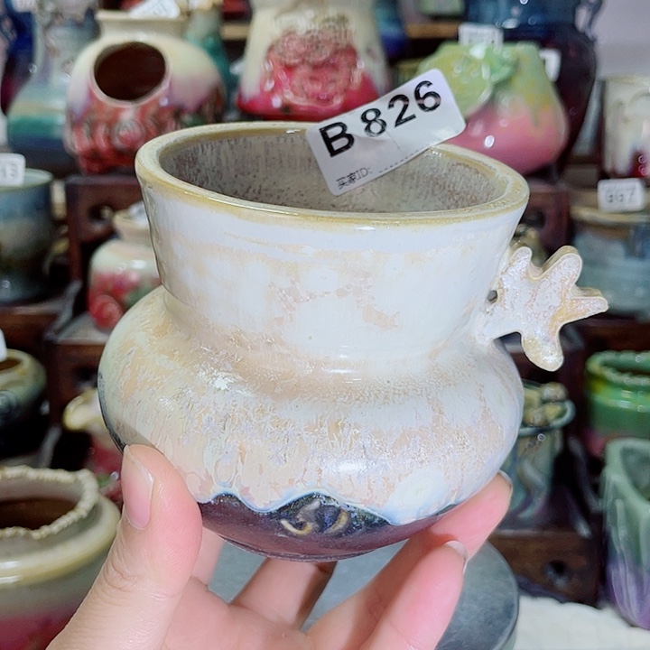 狼盆内口径8高度8