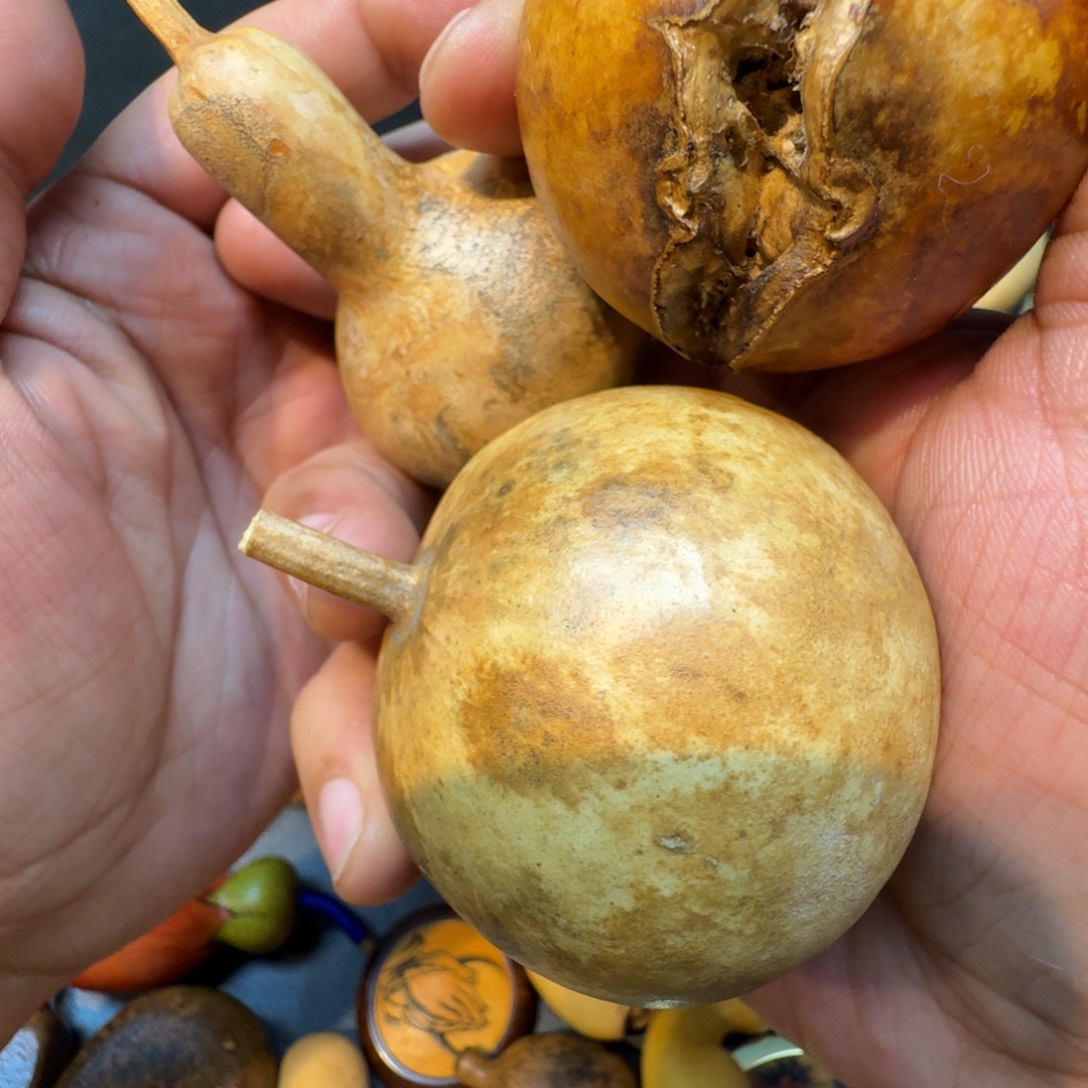 满***满嘎嘎嘎嘎嘎嘎嘎嘎嘎嘎嘎