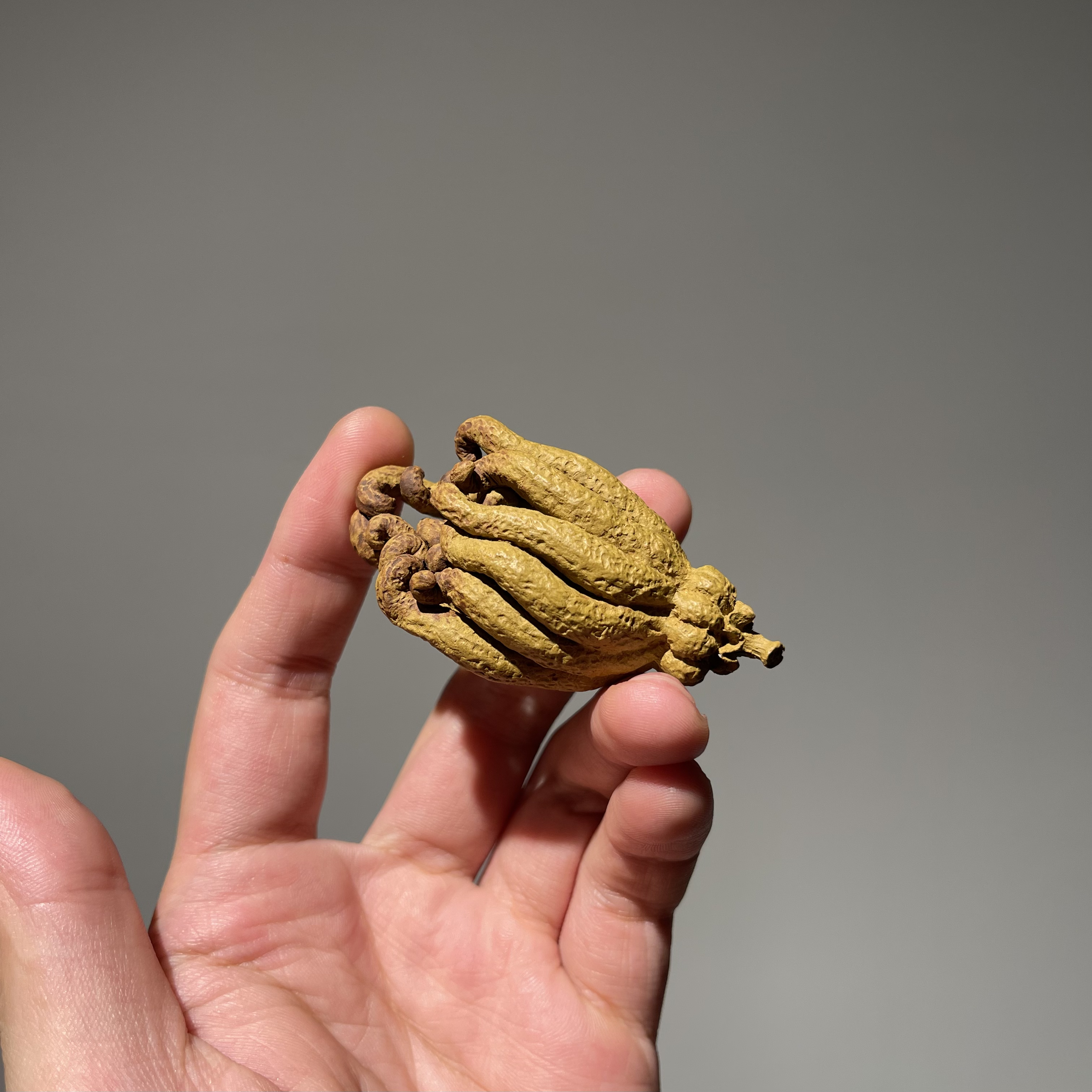 宜兴原矿全手工紫砂茶宠 紫砂佛手茶宠摆件 