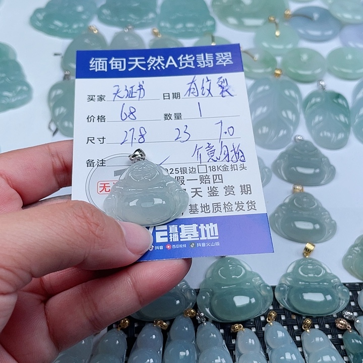 翡翠颈饰银S925镶嵌天然翡翠吊坠