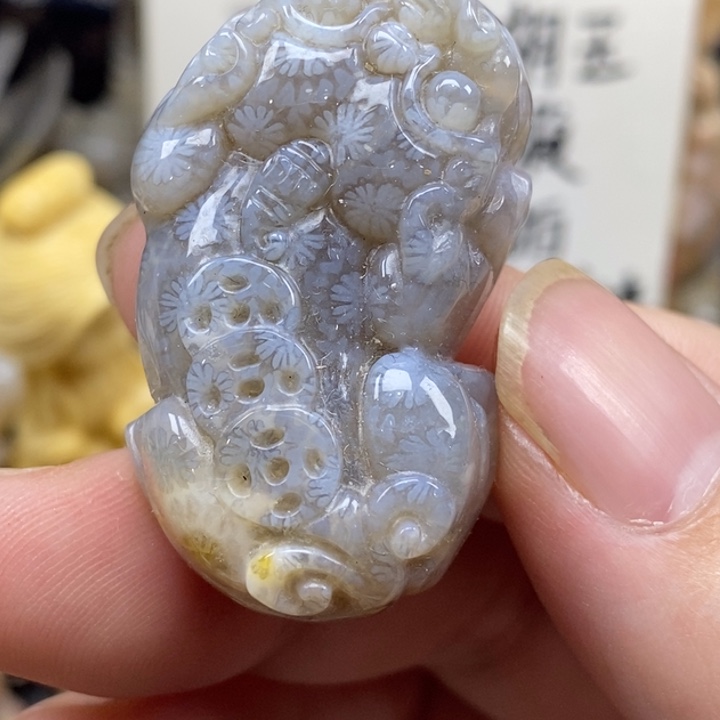 硅化珊瑚（珊瑚玉）未镶嵌颈饰