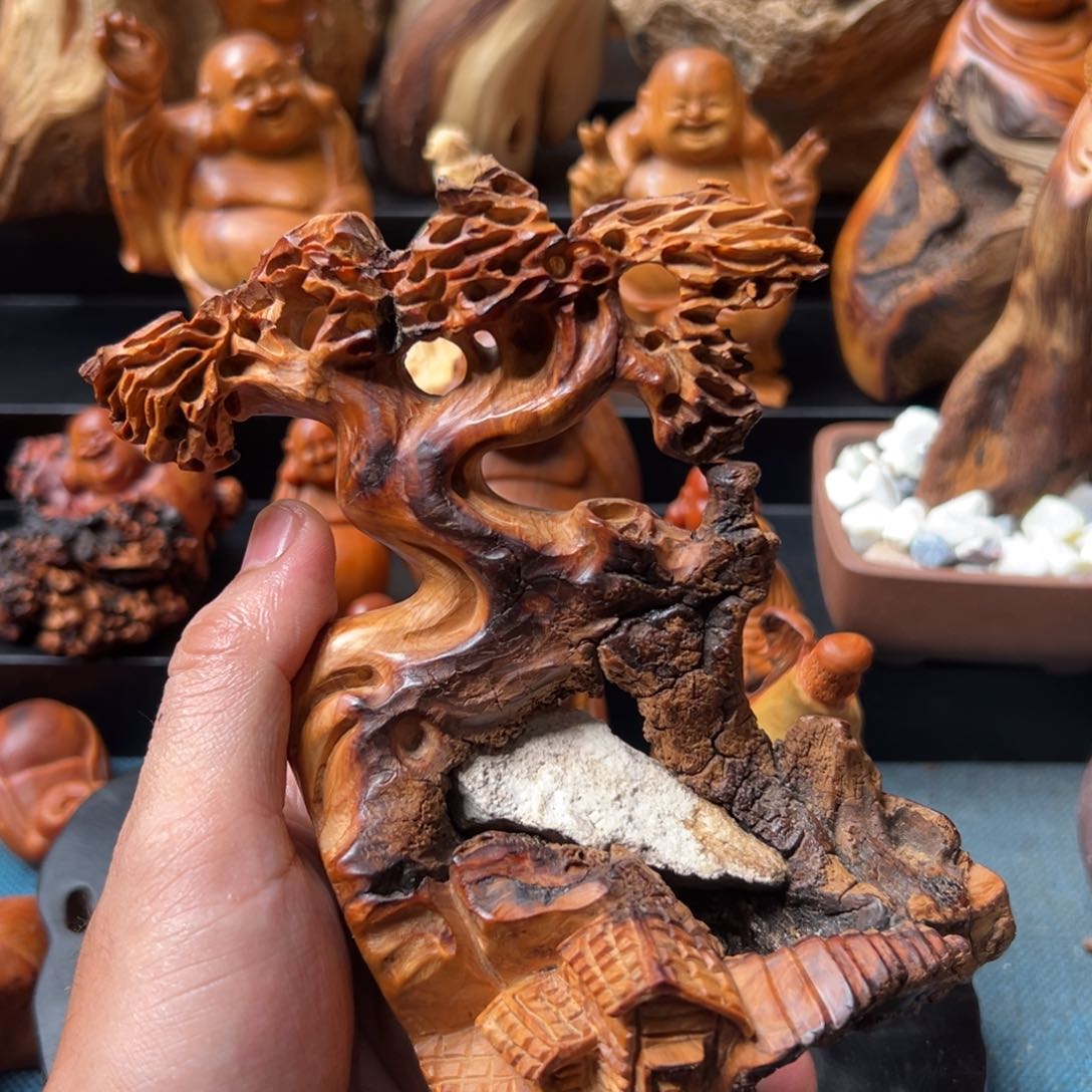 柏木（崖柏）太行崖柏