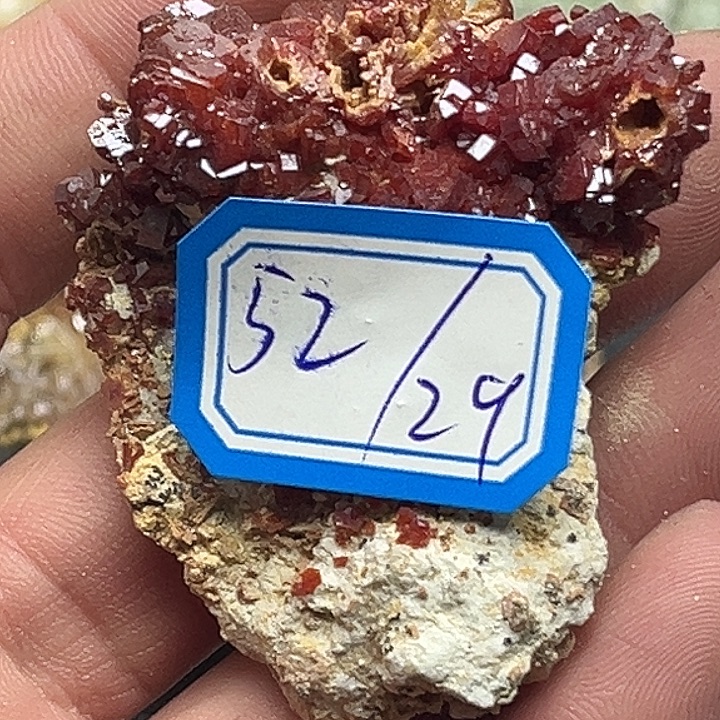 以***贵石材29号）头556666