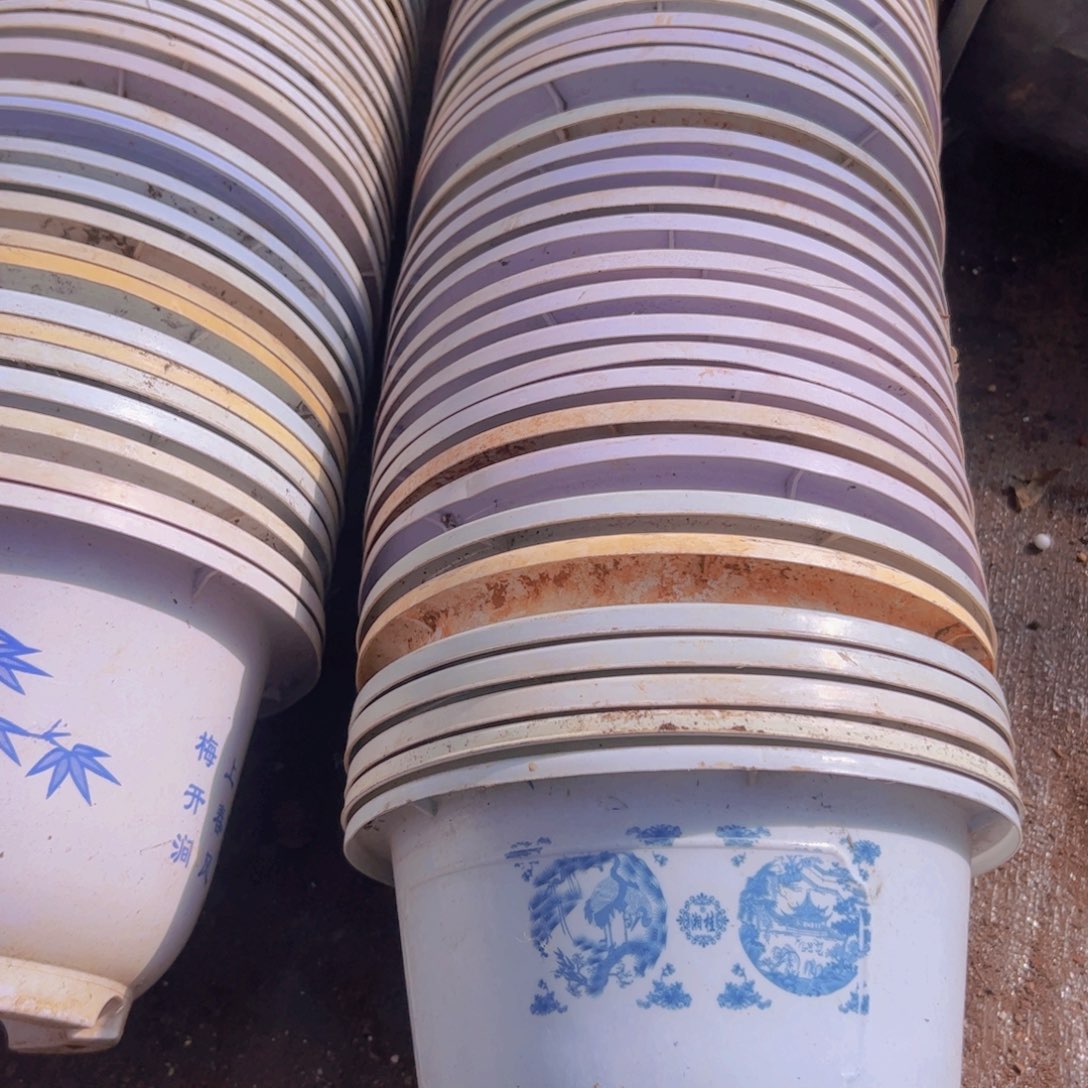 塑料富贵花开21口径13厘米高 20个