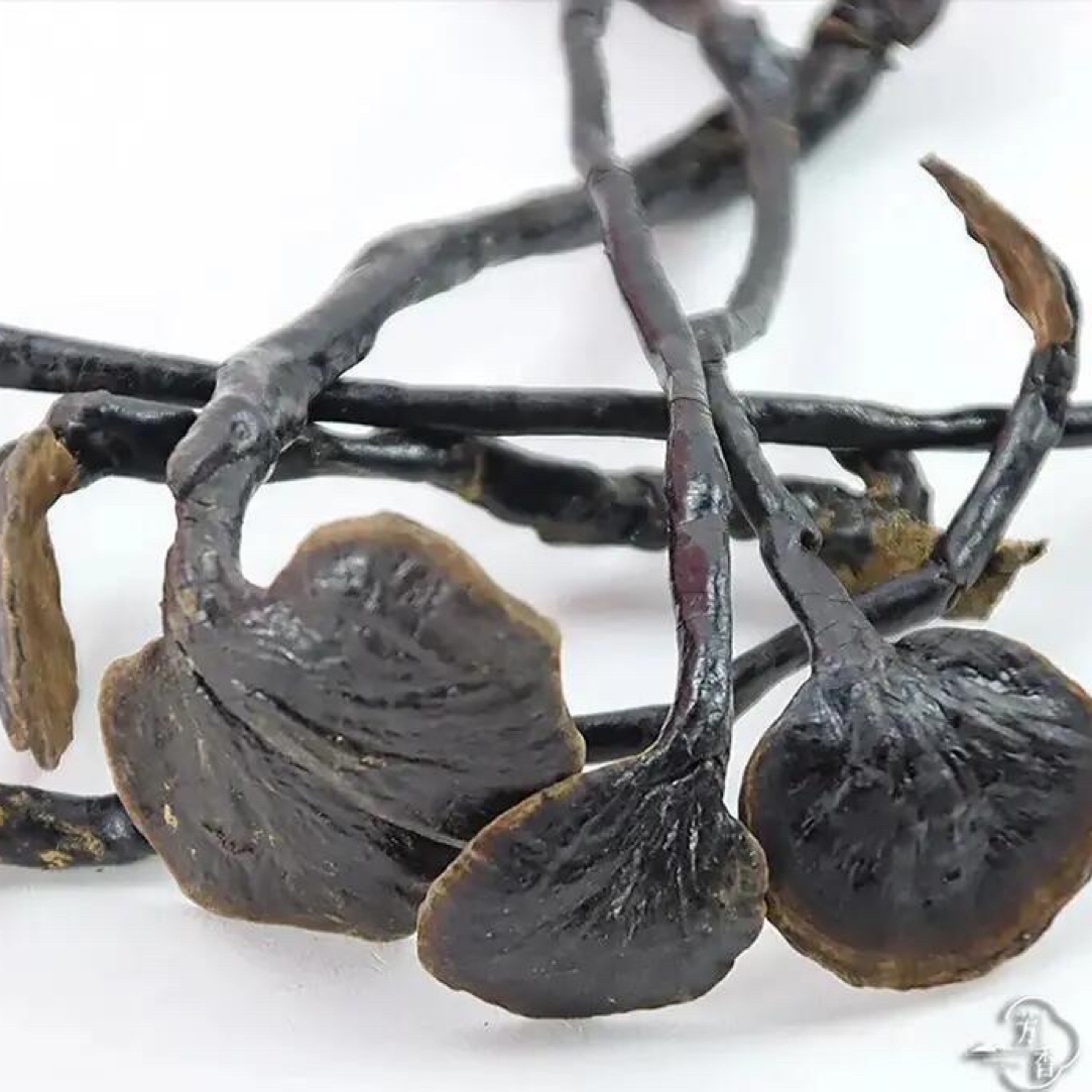 竹灵芝（一物一拍以直播间为主，）