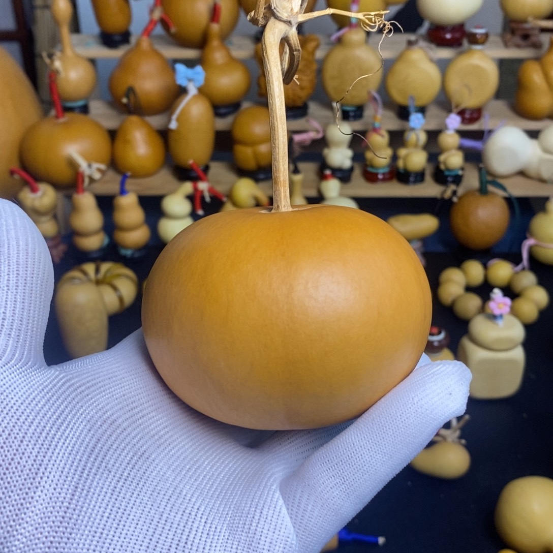 苹果葫芦厚皮响籽