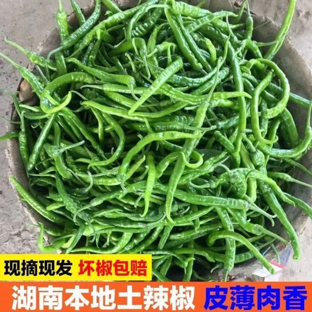 （辣椒）湘西本地农家自种