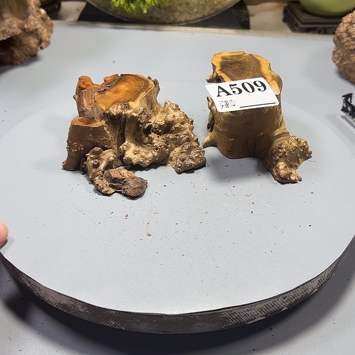 庆***华大果紫檀（缅甸花梨）