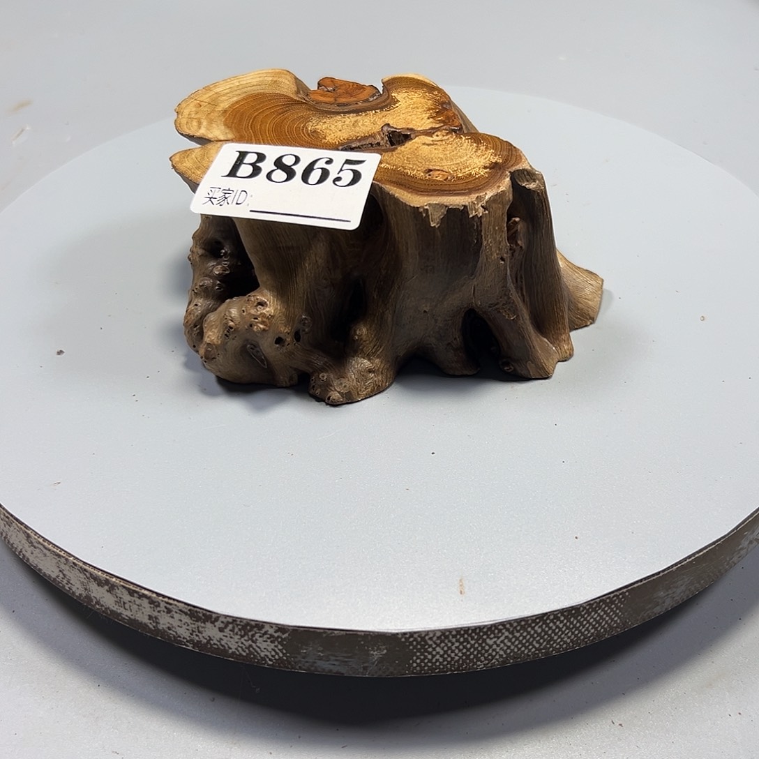 大果紫檀（缅甸花梨）老*侯