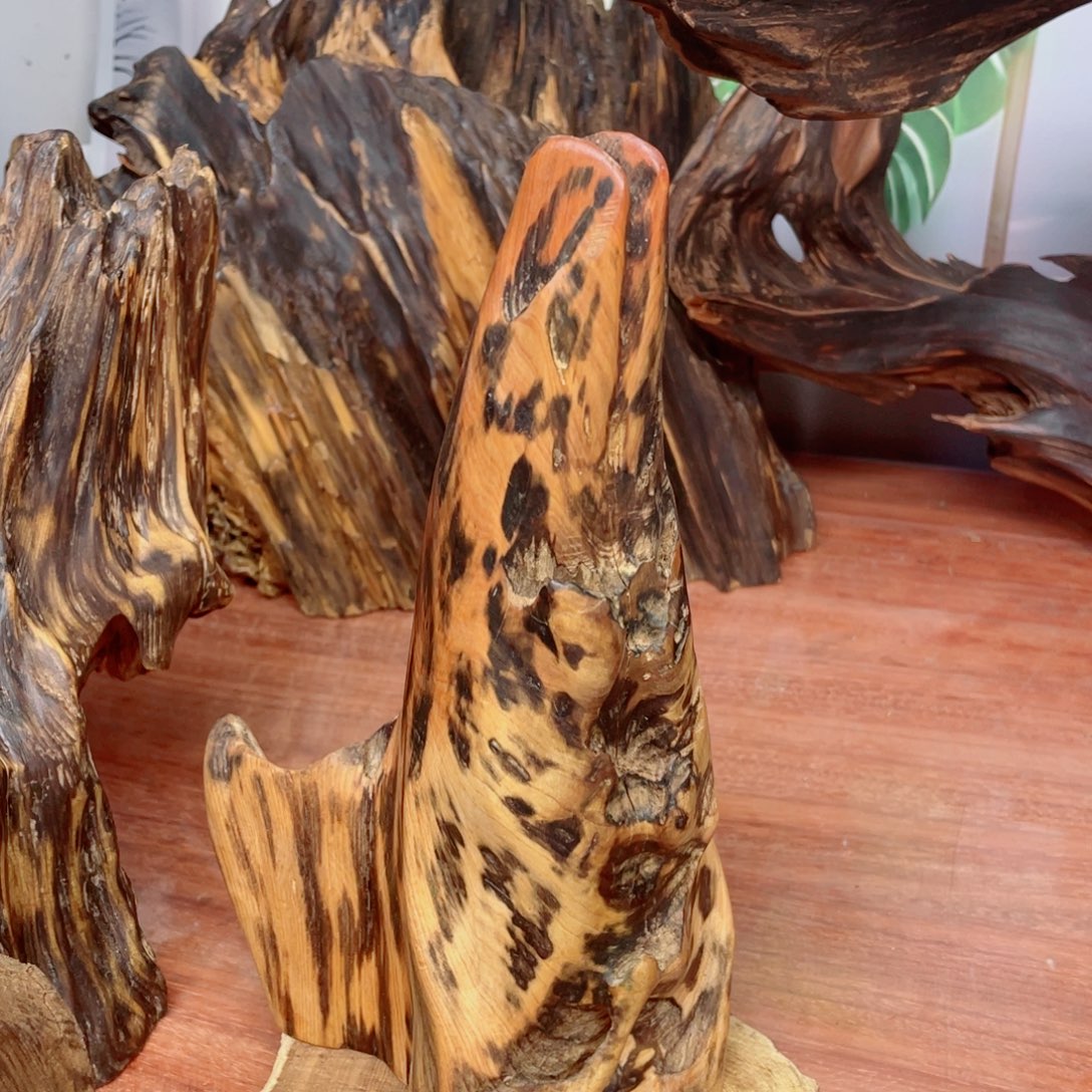 用***7你目的名优木兰狠厉我乐了