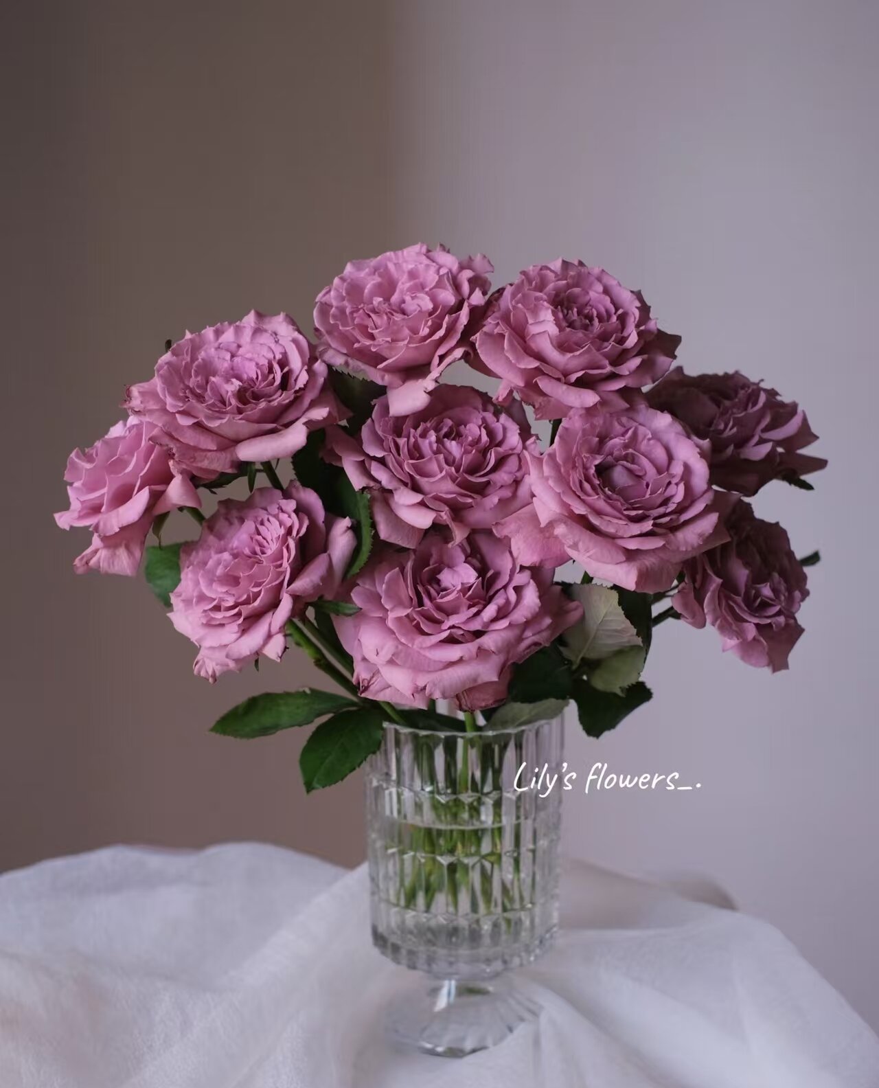 暮光之城玫瑰  相同地址任意两单送配草一束