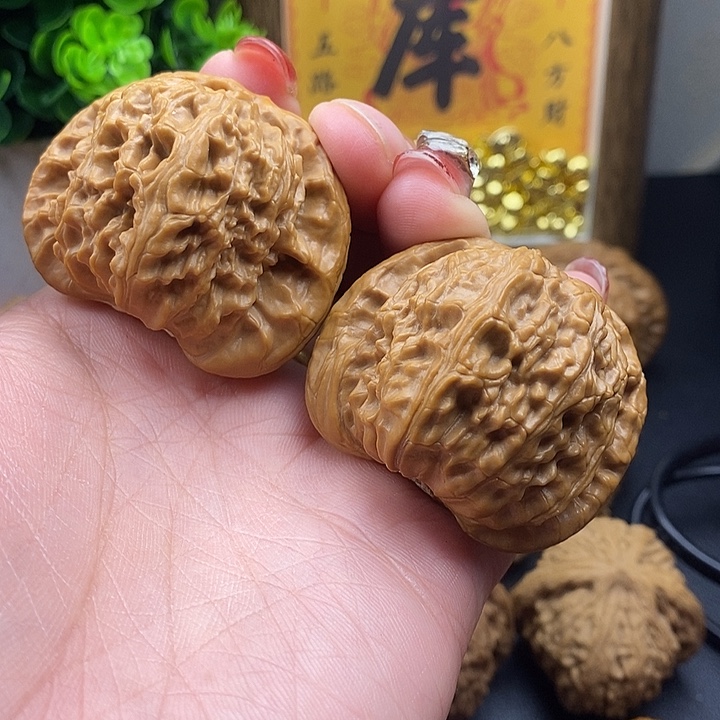 吊坠龙脊菩提白师子46