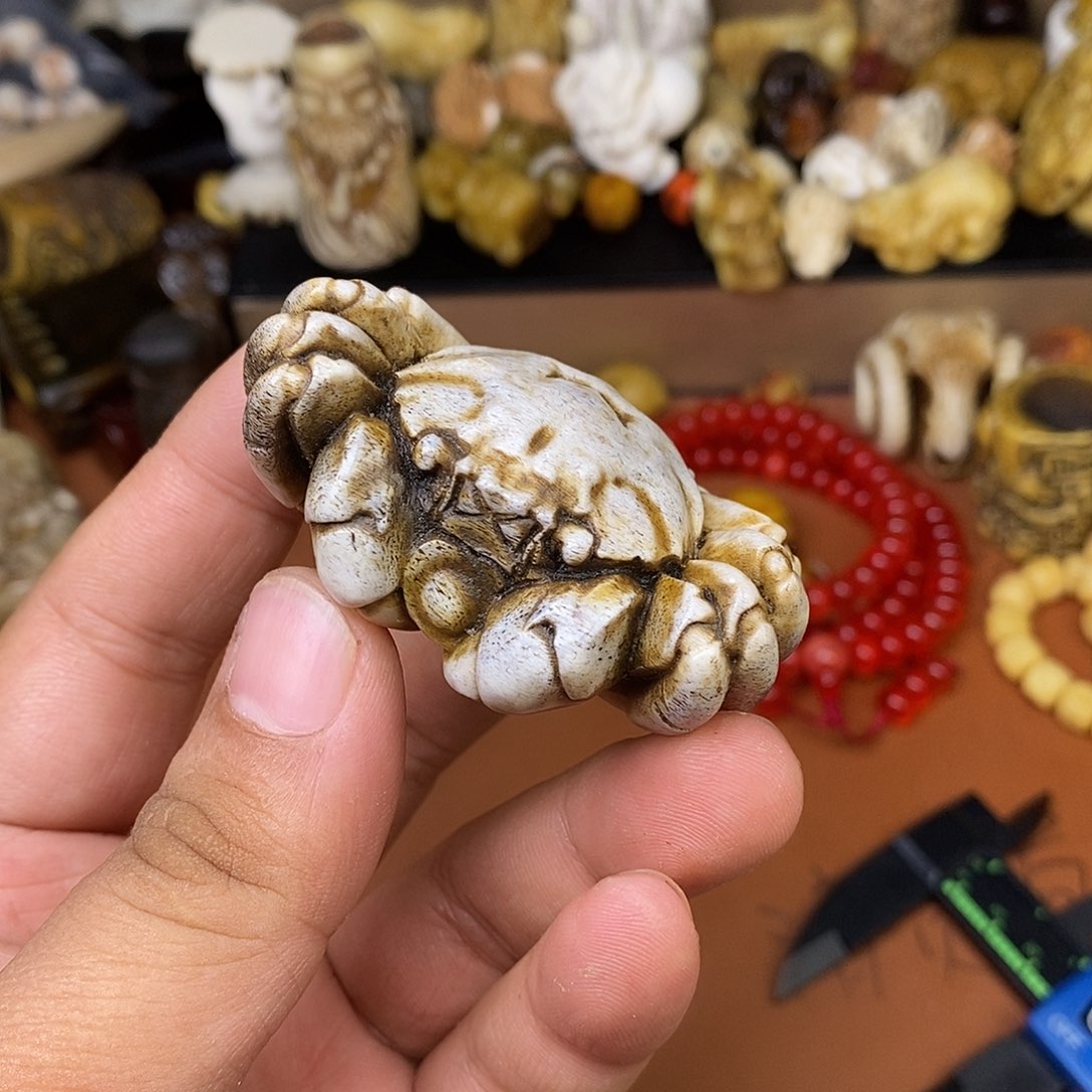 其他驼骨快**阳跟工呀你在