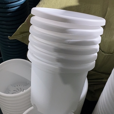 树脂四季3号6个无托白