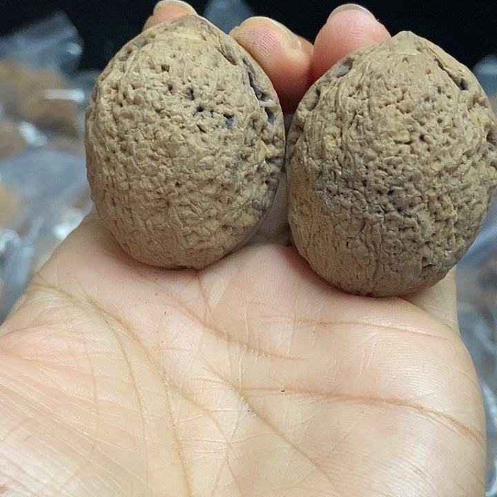把件文玩核桃云南铁核桃基地39