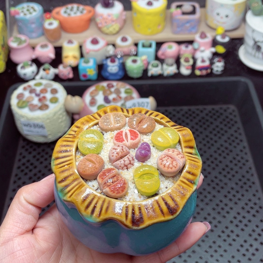 w9308 带盆土发货-零下地区拍保温箱