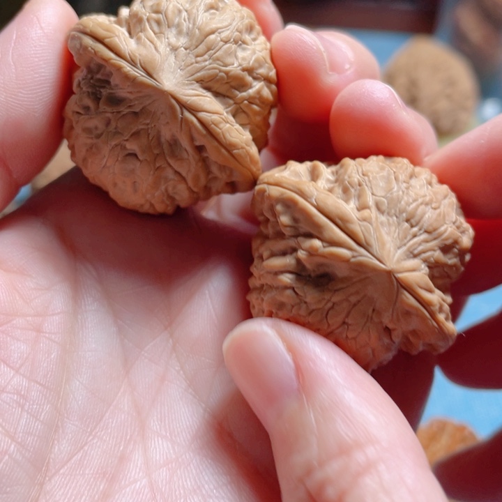 36尺寸铁锤妹妹骨质棒