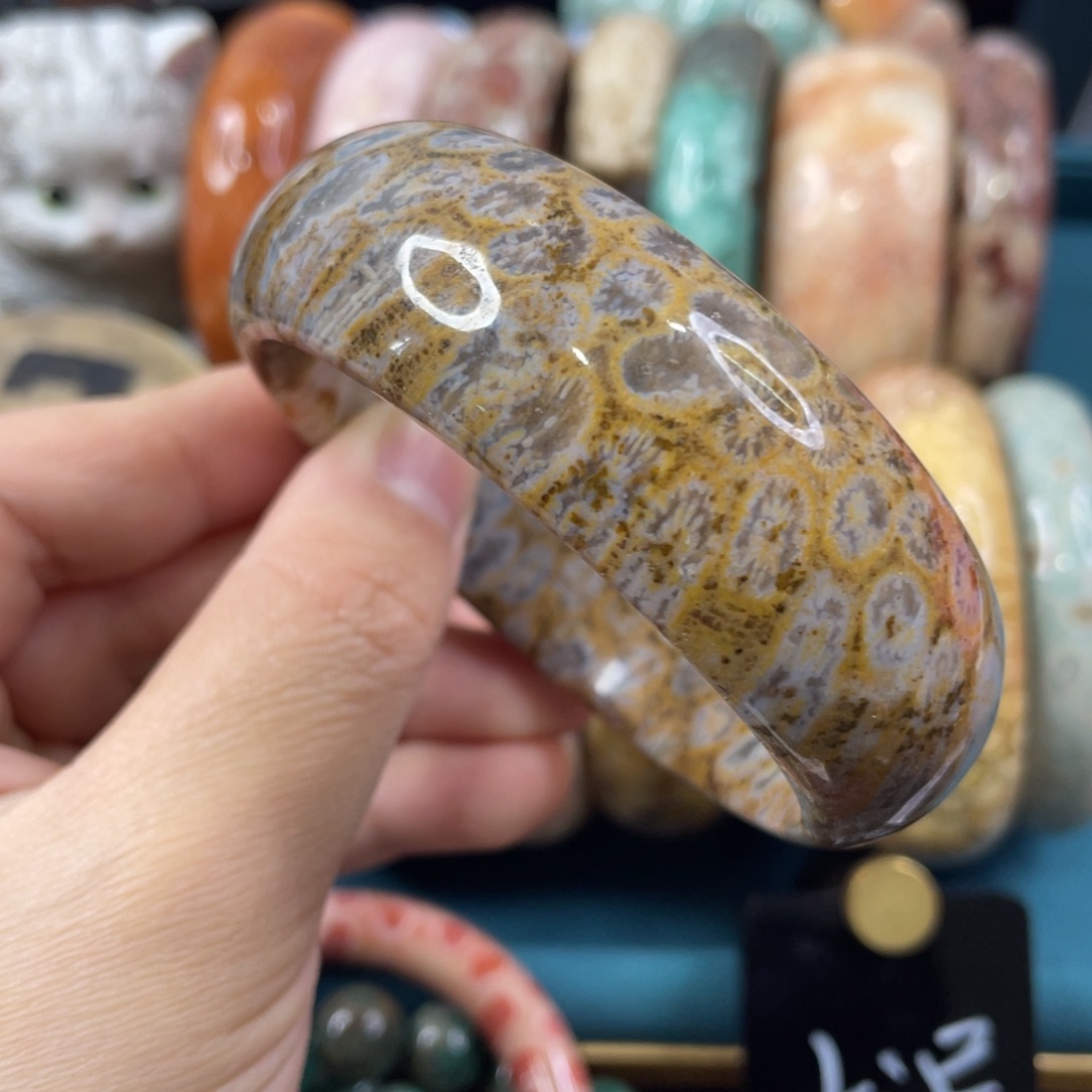 未镶嵌手镯硅化玉