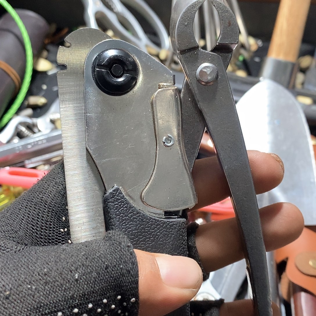 好想和她去旅游去呀呜呜