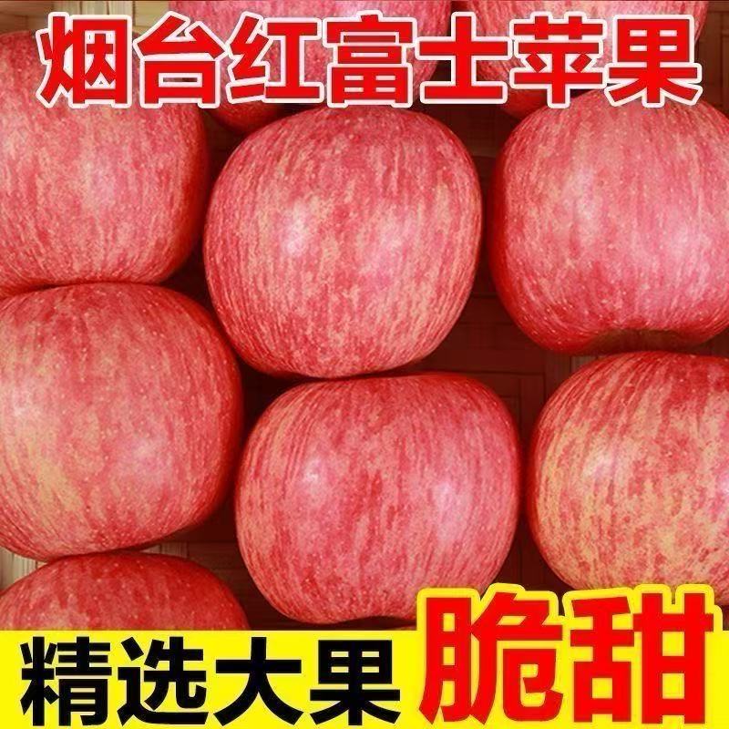 山东烟台核心产区红富士 高糖脆爽新鲜现发 水果批发/零售爆款
