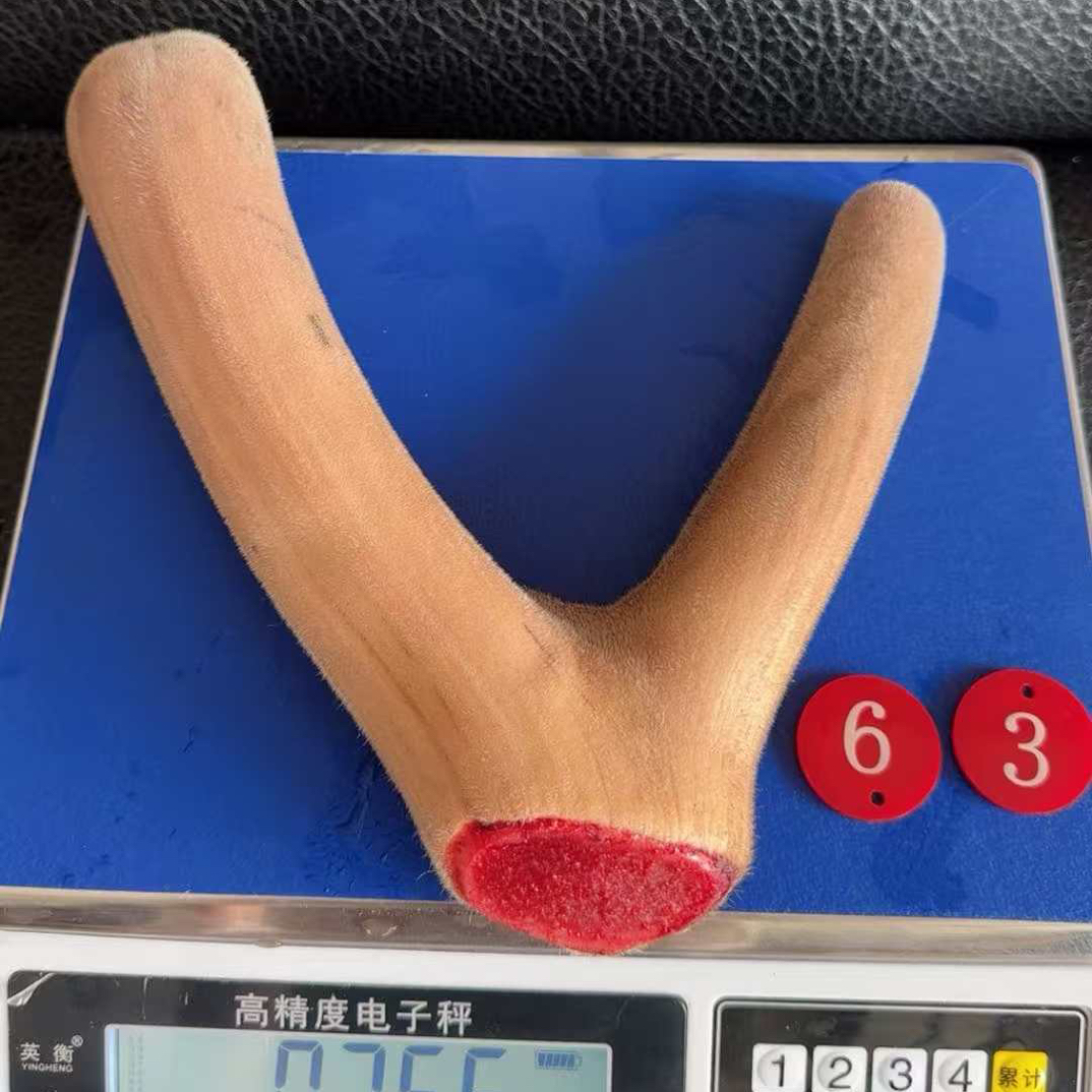 东北鹿乡新鲜带血鹿茸可用于煲汤泡酒炖菜滋补佳品