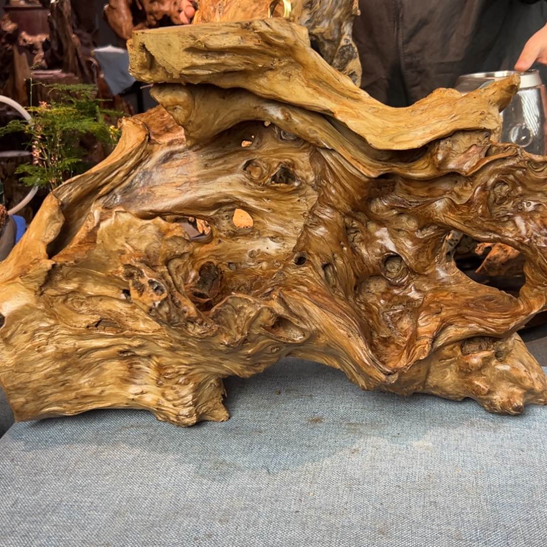 用***3香杉木994aaaaaaaaaa