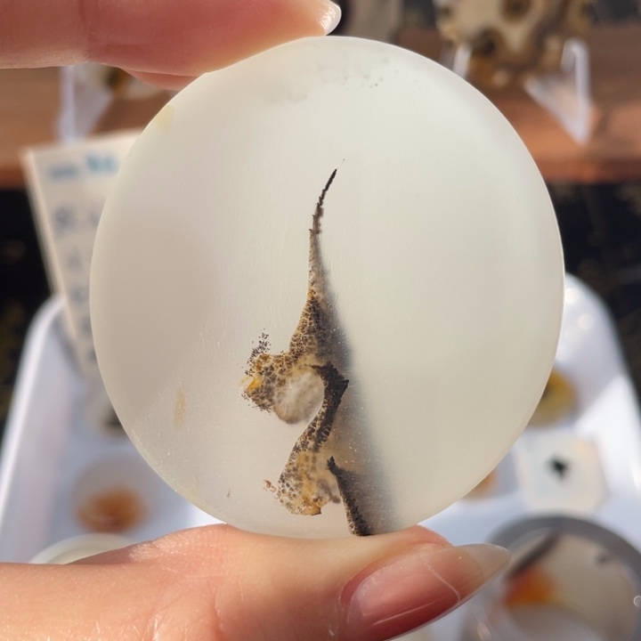 玛瑙/玉髓未镶嵌牌子