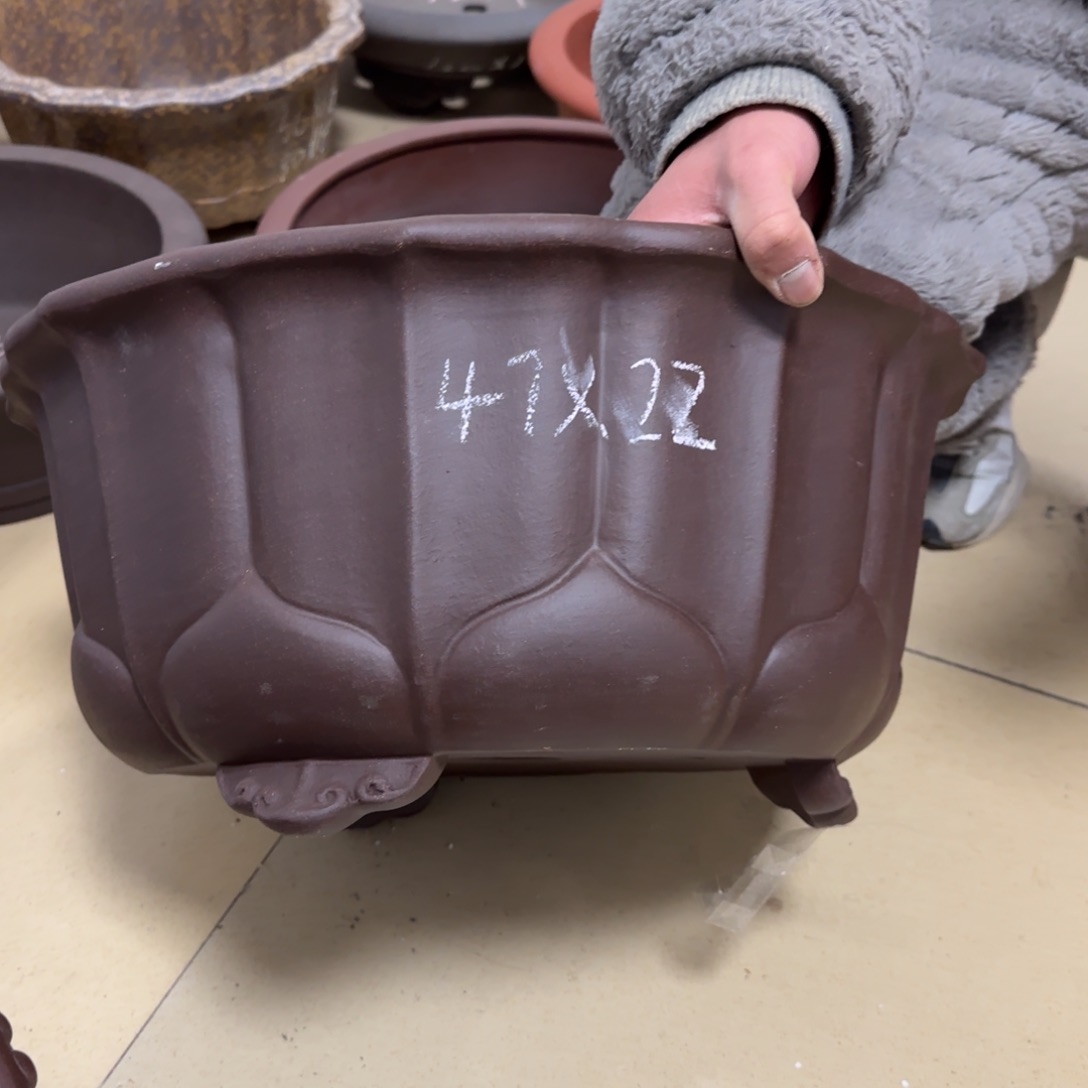 紫砂花盆呜呜呜呜