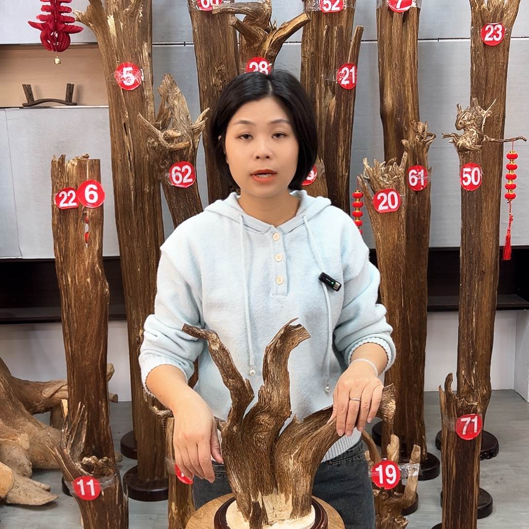 沉香摆件沉香摆件