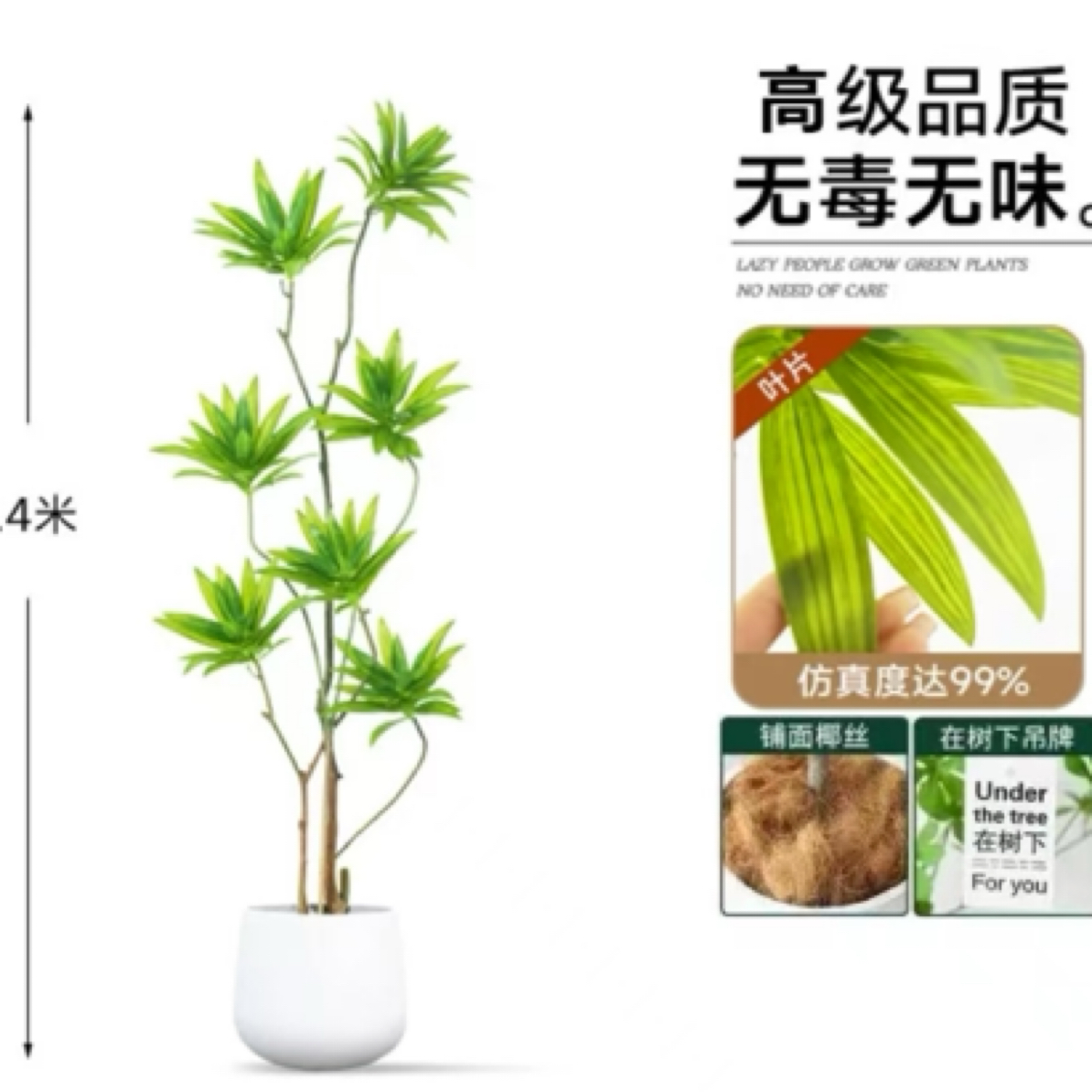 【同城包邮】造型百合竹网红绿植室内