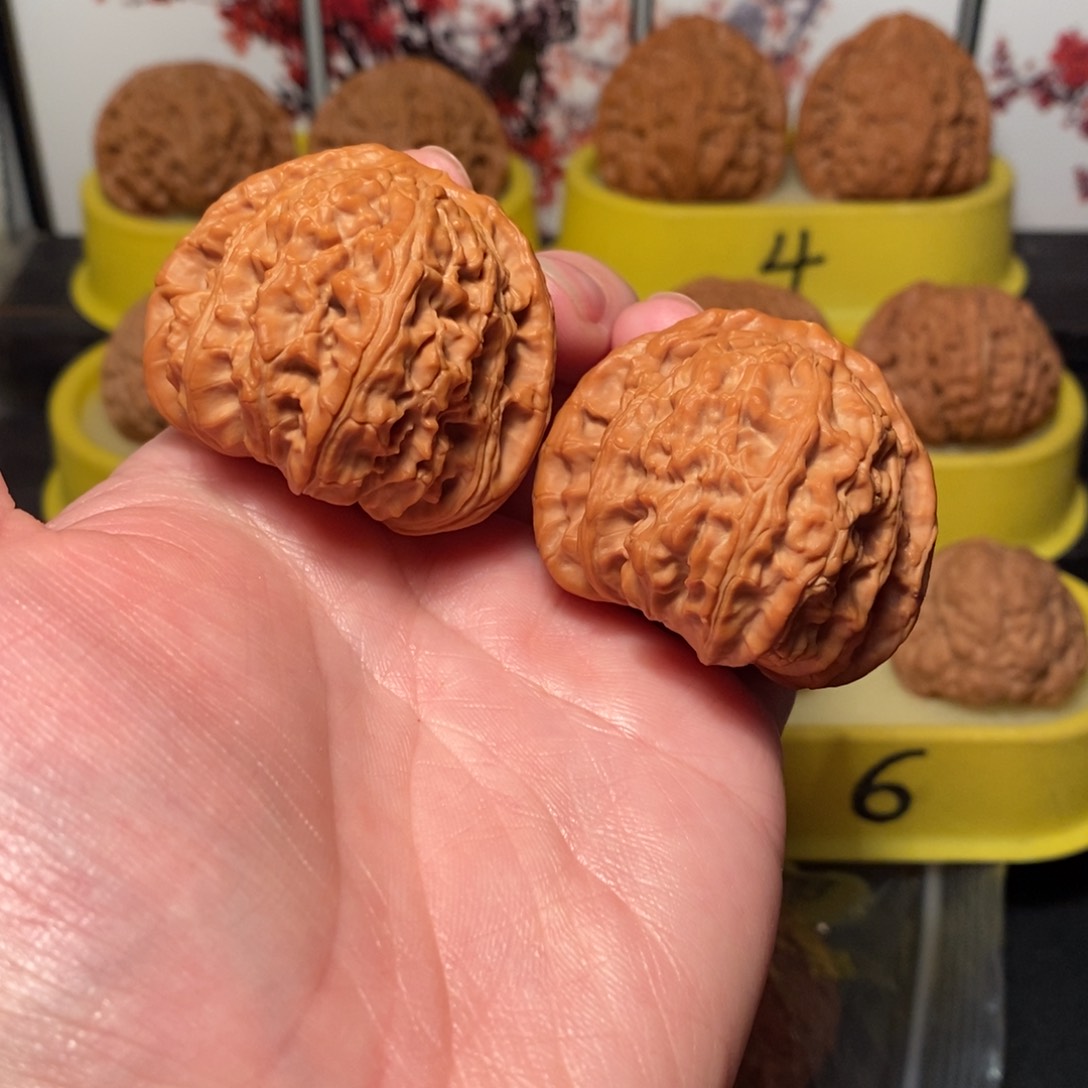 文玩核桃把件紫****子43尺白狮子核桃