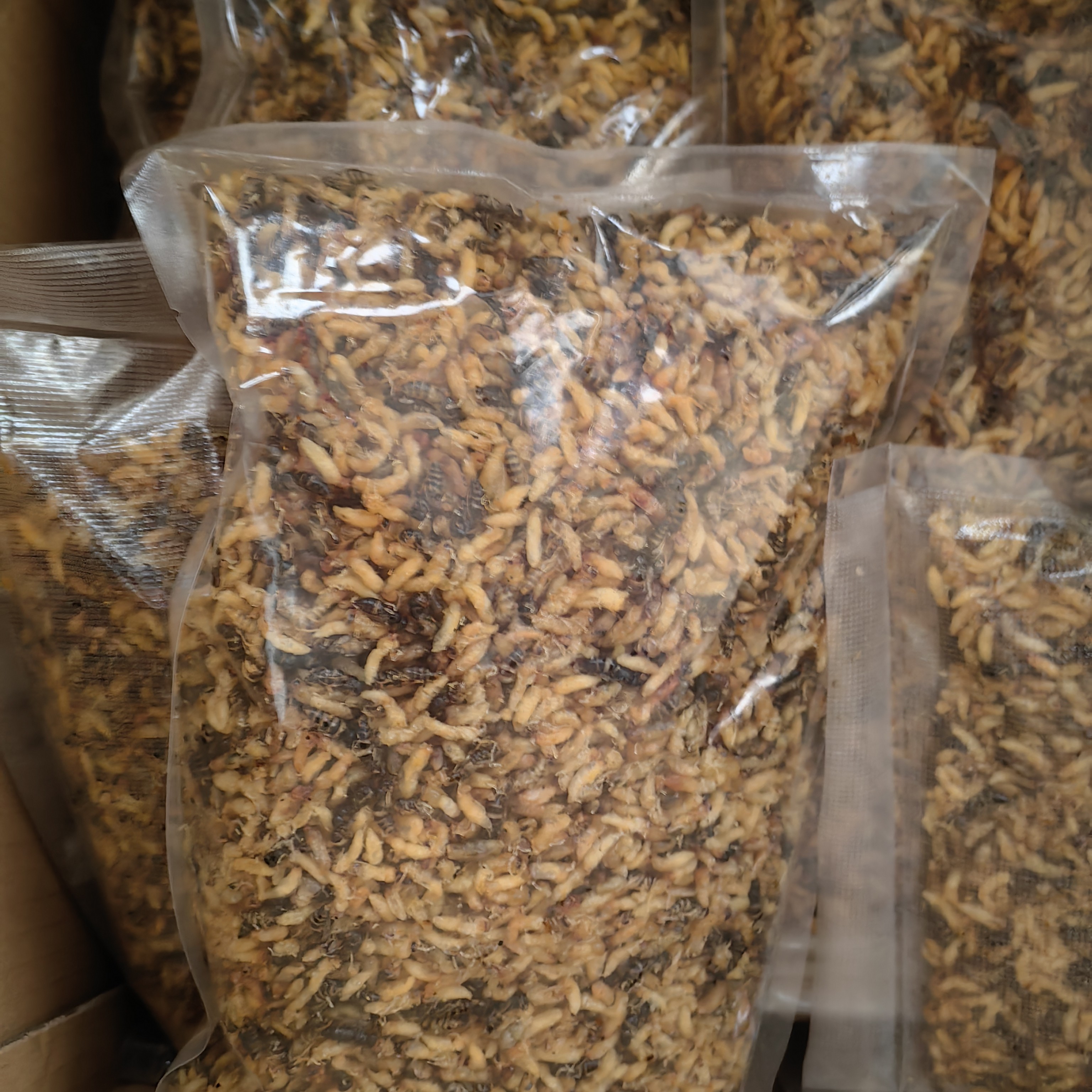 半斤装装新鲜散装油炸马蜂青米蜂营养美味聚会下酒伴侣野生蜂子