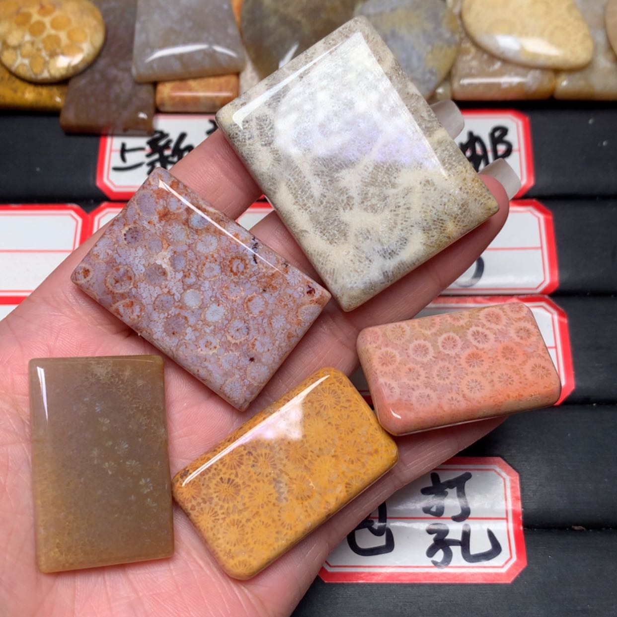 【闪购商品】未镶嵌颈饰硅化玉博**叔