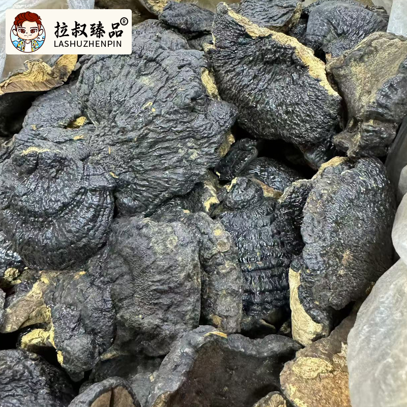 【顺德拉叔臻品】精选纯野薄树灵芝  250g