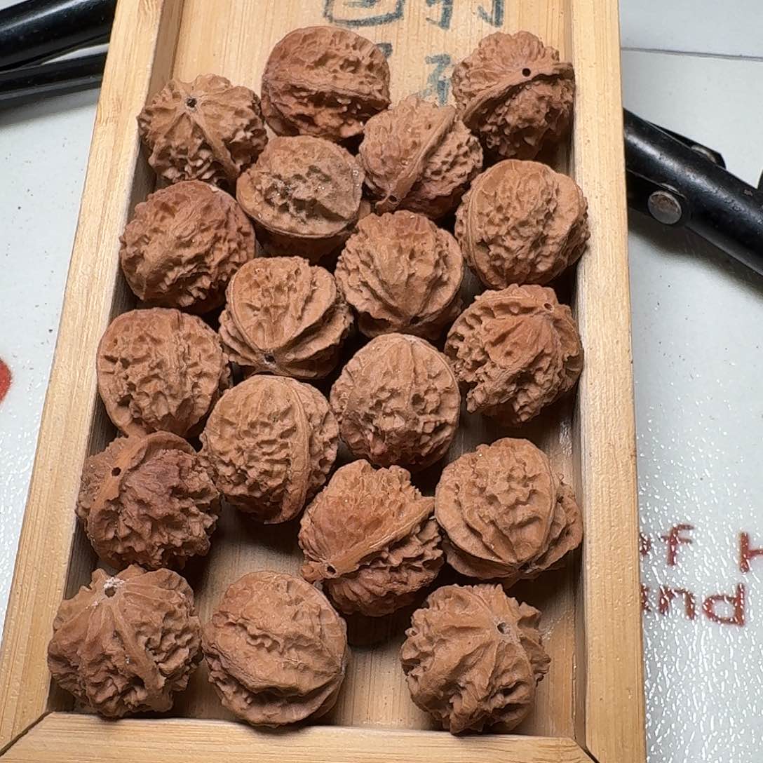 核桃手串/手链48号边26肚27高26