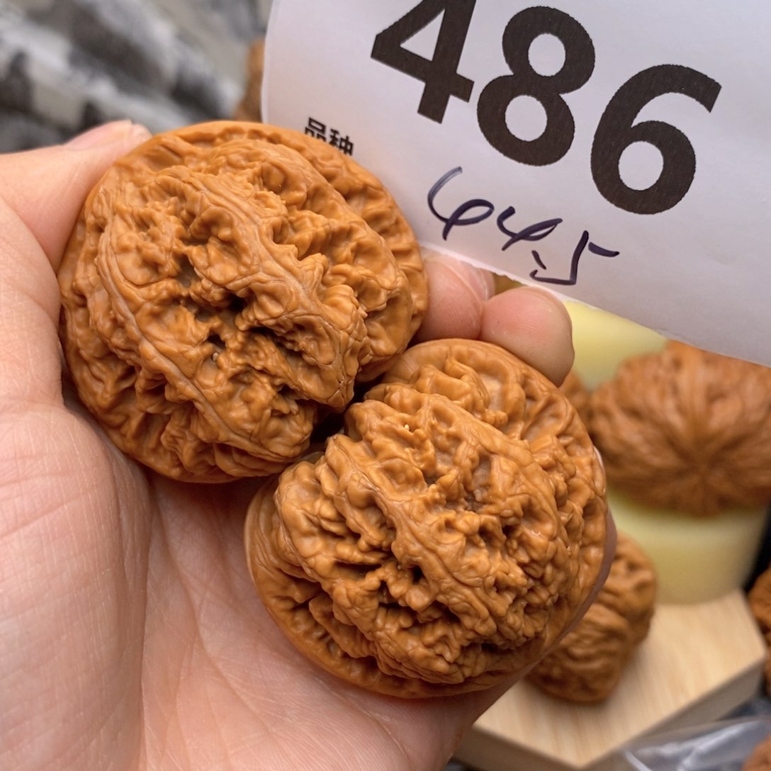 文玩核桃吊坠486号44.5粗筋