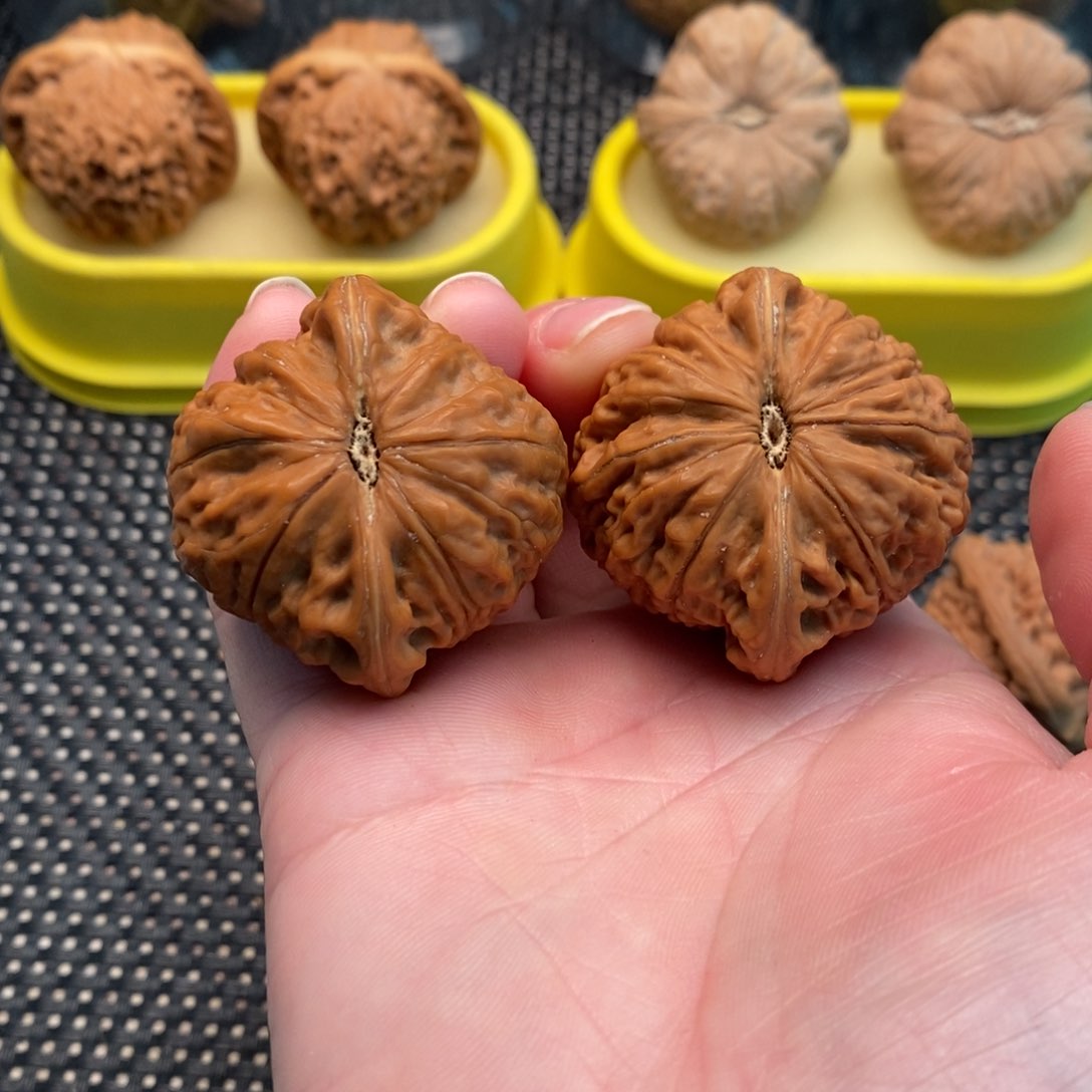 橄榄核手串/手链你****一铁锤